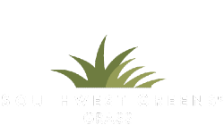 Synthetic Grass by Southwest Greens of Austin
