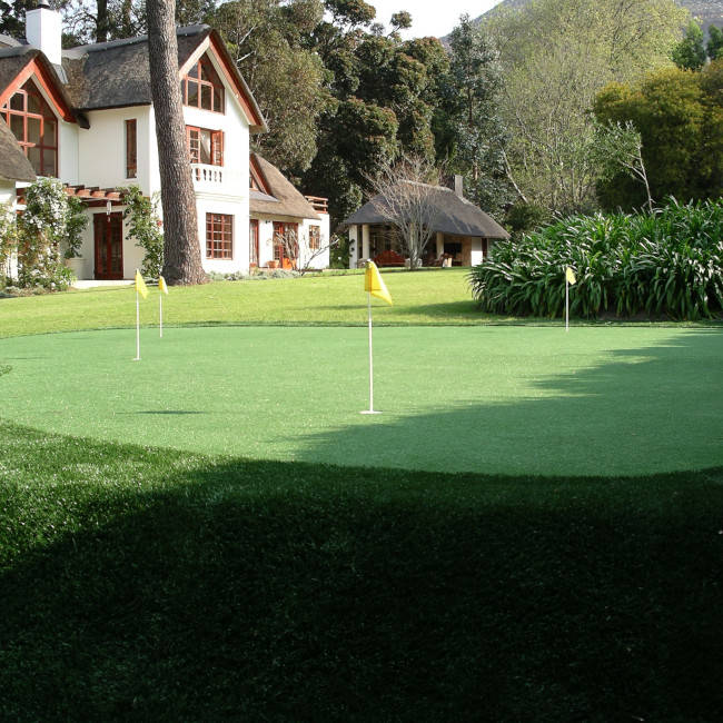 Austin Backyard Putting Green