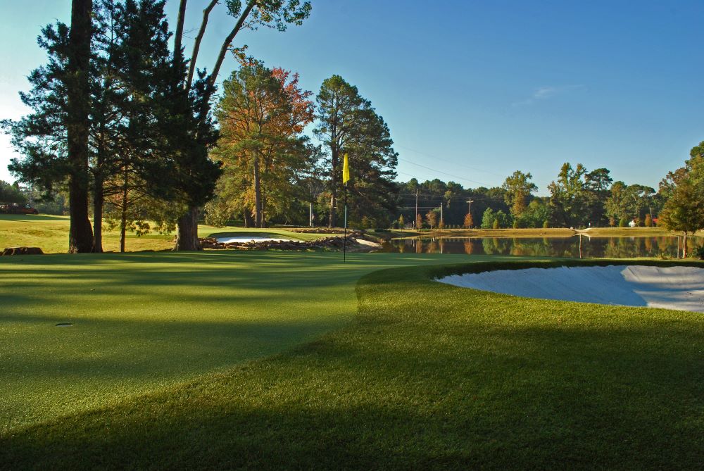 Austin Artificial Turf Golf Course