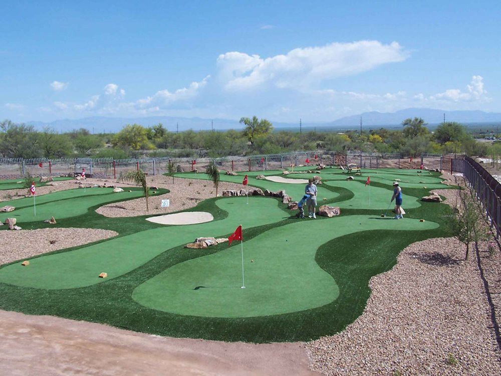Austin putting green grass