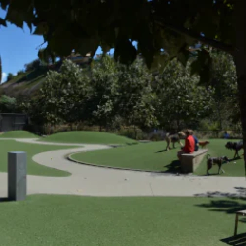 What to Consider Before You Spec a Dog Park Surface in Austin