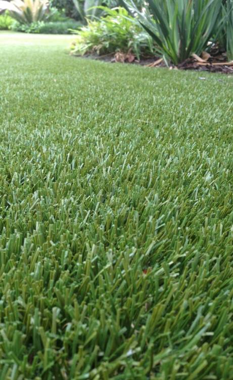 Austin artificial grass