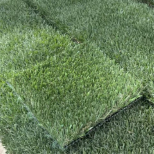 Introducing Wide Blade Turf in Austin