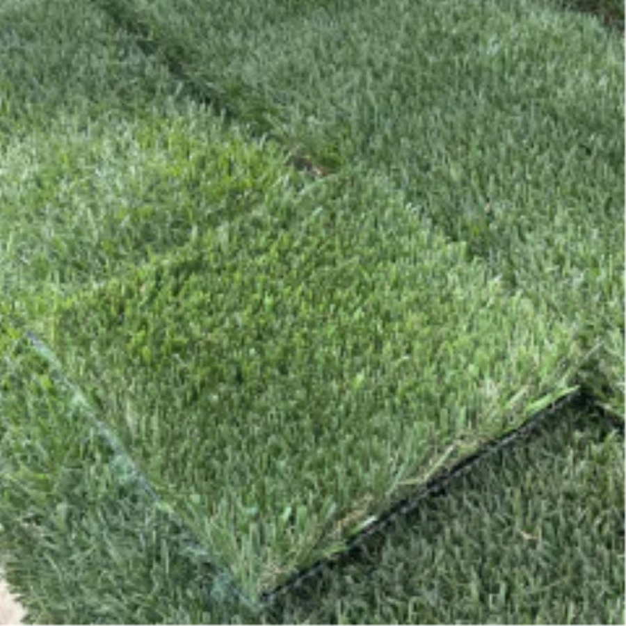 Introducing Wide Blade Turf in Austin