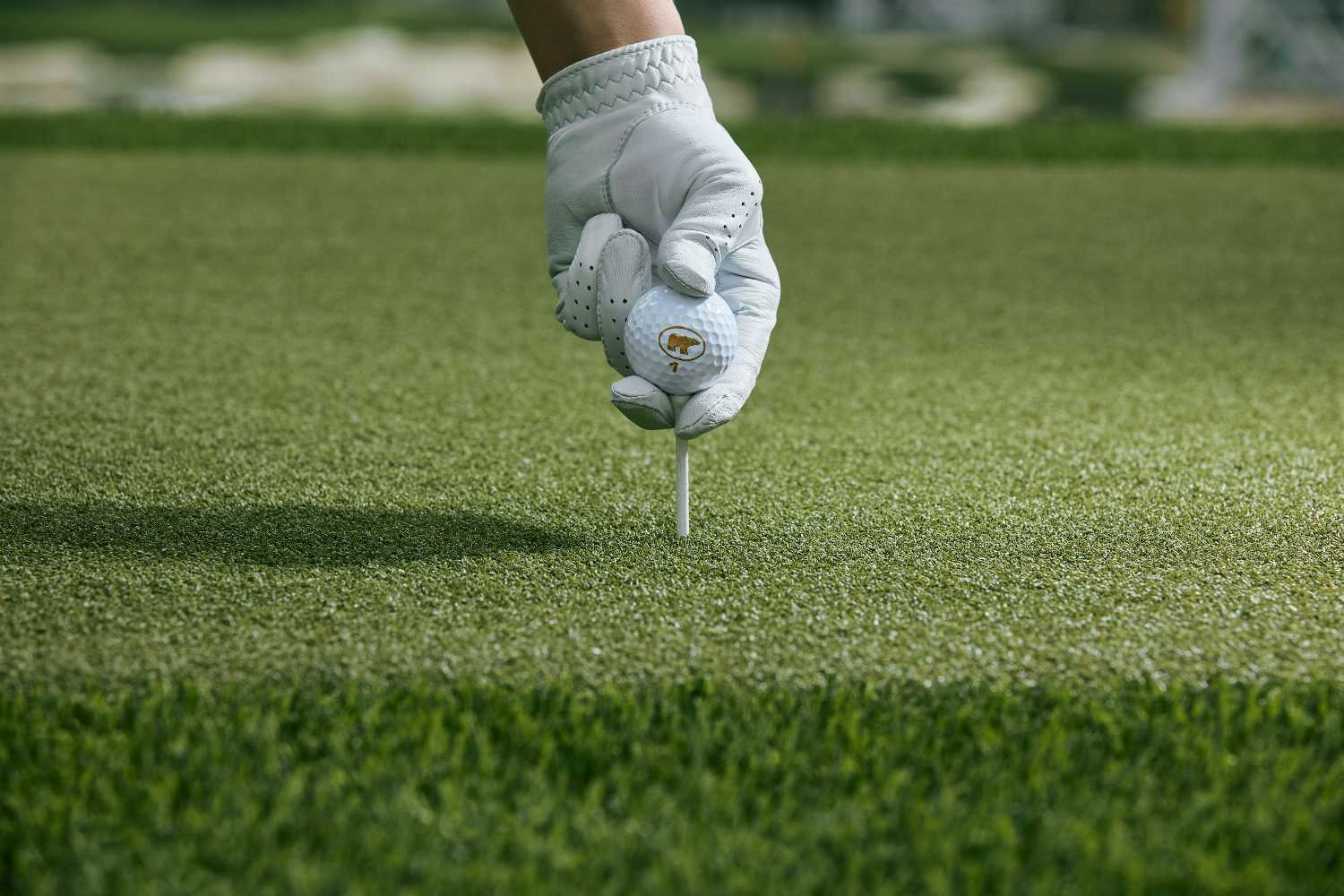 Austin driving range