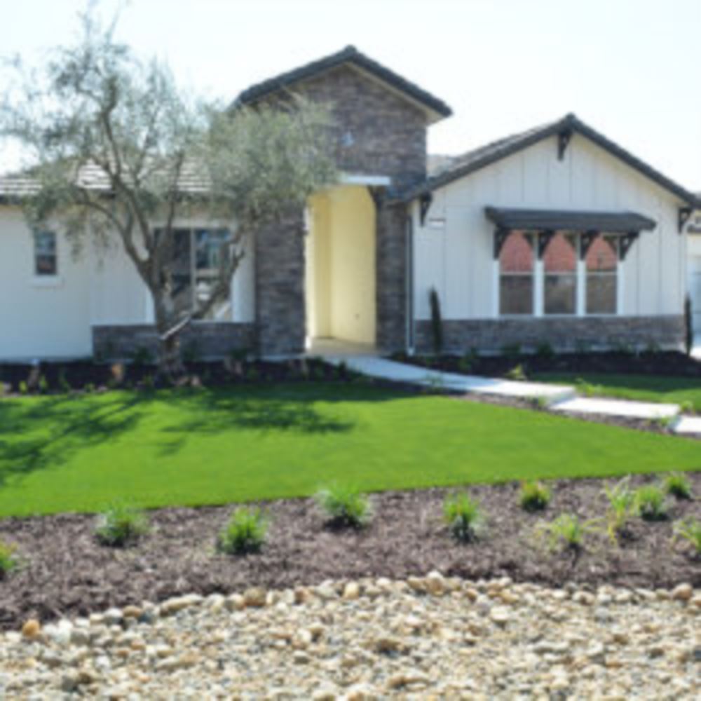 Artificial Lawn Maintenance Tips in Austin