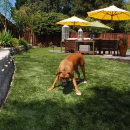 Why fake grass for dogs Transforms Your Austin Lawn